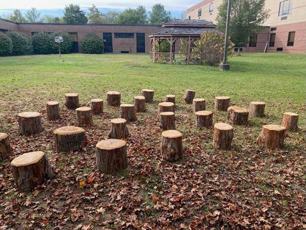 A group of tree stumps in a yard

AI-generated content may be incorrect.